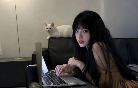 《晚灯临安》在线观看